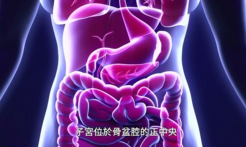 女性体脂低的危害-女孩体脂肪低的表现、女体脂偏低说明什么 -女孩体脂肪低网